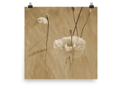 Wild Poppies photoart. New wheat (soft yellow) color version. No. 3 out of 3.