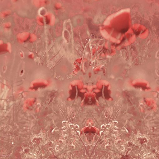 Close-up of the "Romance Poppies" tea rose print. A transformed photo of poppies dancing in a field of wheat. The print is made to measure 142cm x 2meter (56" x 78.7").