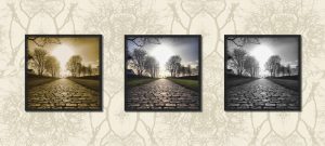 Dream Path photo art on canvas. Cobblestone road at Sønderborg Castle, DK in three color versions. Source of all Dream prints (branches, orbit & catch). The dream branches print shown as wallpaper.