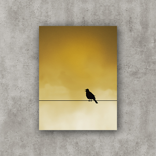 Sing Bird, sunrise. Photo Poster Art with a partly glossy, partly matte finish. Dimension: 18"x24"