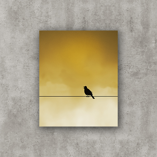 Sing Bird, sunrise. Photo Poster Art with a partly glossy, partly matte finish. Dimension: 12"x16"