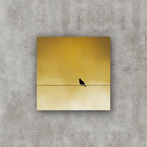Sing Bird, sunrise. Photo Poster Art with a partly glossy, partly matte finish. Dimension: 18"x18"