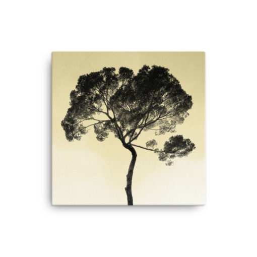 Tree in the sky, sky pristine. Photo Canvas Art hand-stretched on a poly-cotton blend canvas with a matte finish coating. Dimension: 16"x16"